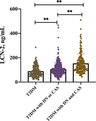 Serum Lipocalin-2 Levels Are Increased and Independently Associated With Early-Stage Renal Damage and Carotid Atherosclerotic Plaque in Patients With T2DM